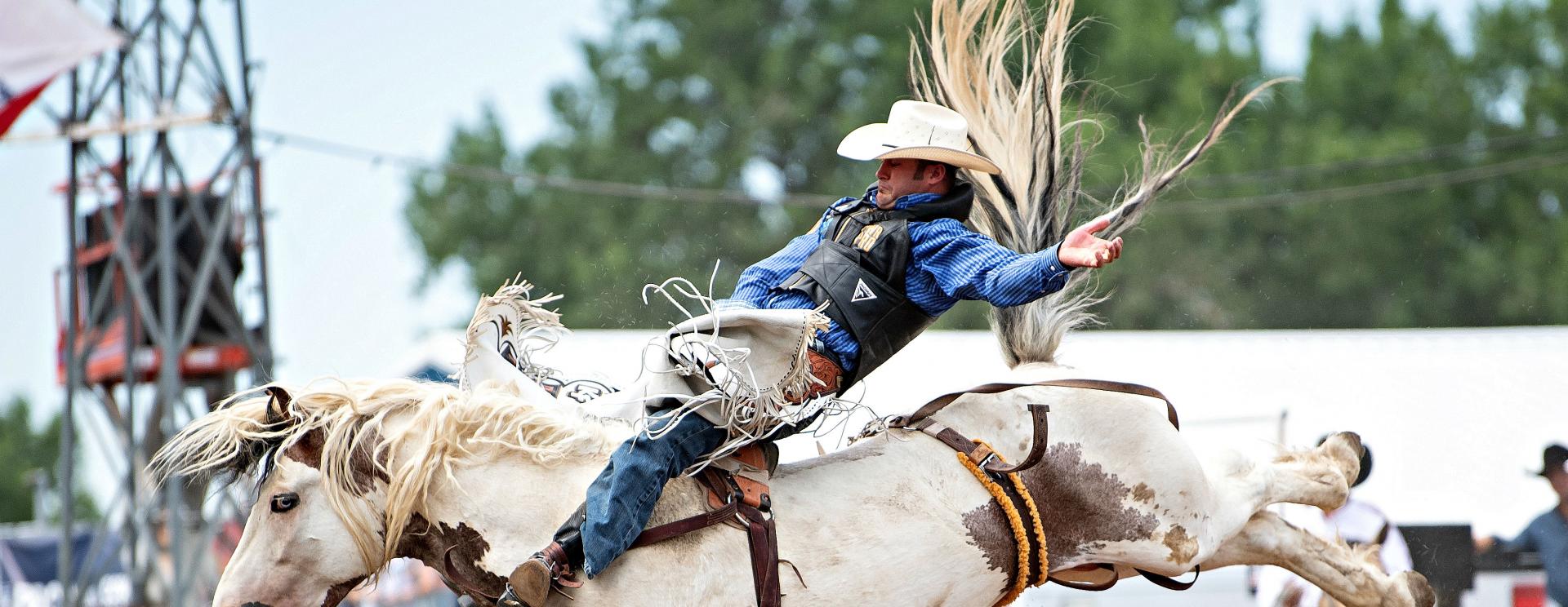 Rider on a bucking horse during the Black Hills Round Up
