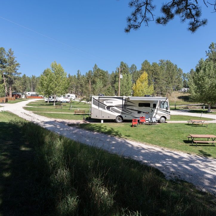 wide shot view of rv campsites and trees at Beaver Lake Campground in Custer, SD