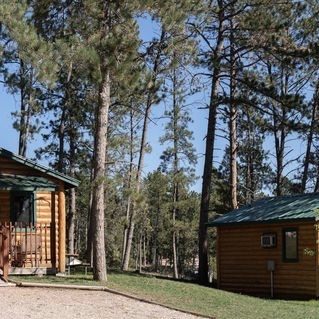 Exterior view of cabins and pine trees at Beaver Lake Campground