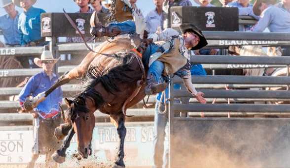 Mt Rushmore Rodeo at Palmer Gulch